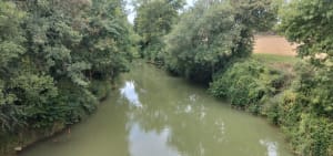 Valence sur Baise - Michel - 3