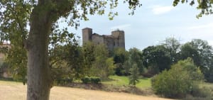Valence sur Baise - Michel - 4