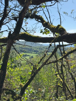 Balade dans la forêt noire de Revonnas - Florian - 6