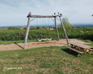 Marche populaire et sentier viticole sur le Mont Scharrachberg - Éric - 5
