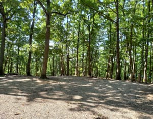 Gif/Abbaye_Châteaufort, retour par Villiers le Bâcle - PASCALE - 6