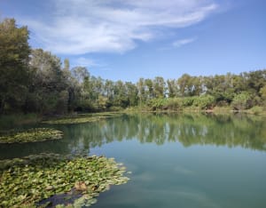 Noves, au fil de l’eau - Laurent  - 4