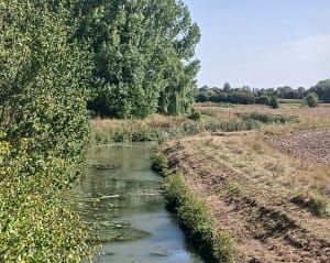 La Motte-au-Bois et ses forêts - Virginie - 6