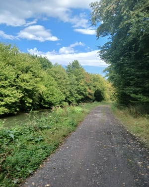 La Motte-au-Bois et ses forêts - Virginie - 8