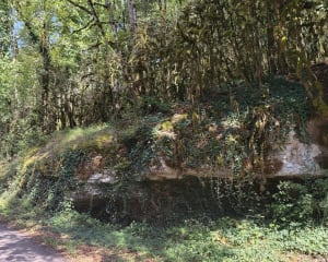 Balade aux sources de la Douix - Gerard - 2