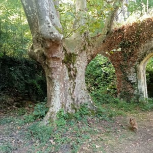 Ailhon, abbaye de Crouzet - Agnès - 3