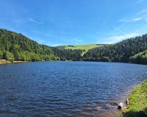 La Bresse 88 - Carole - 3