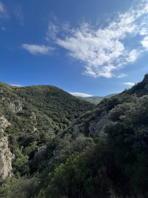 Au fil de l'eau de Laroque-des-Albères - Jade - 11