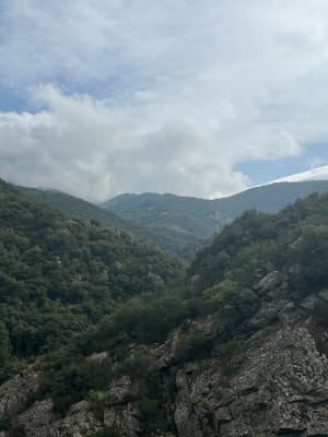 Au fil de l'eau de Laroque-des-Albères - Jade - 13