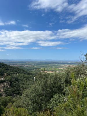 Au fil de l'eau de Laroque-des-Albères - Jade - 14