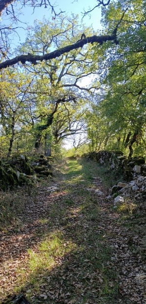 Boucle à partir de Carennac Dordogne - MIKAEL - 3