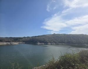 Villerest : Bord de Lac & Golf - Lucie - 4