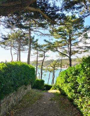 Entre mer et forêt à Moëlan-sur-Mer - Bolzer - 7
