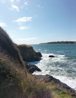 Entre mer et forêt à Moëlan-sur-Mer - Bolzer - 8