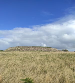Balade au Petit Mont dans le Morbihan - Marine - 8