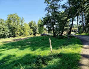 Balade légère dans les bois de Rochegrosse - magali - 3