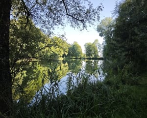 Du centre équestre de Piroué à l'étang de Merrey - Luc - 6
