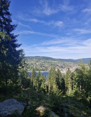 Gérardmer, lac et relief - Alison - 4