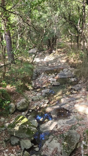 Sources de l'Huveaune - Nans-les-Pins - 8