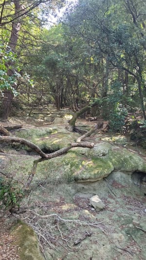 Sources de l'Huveaune - Nans-les-Pins - 7