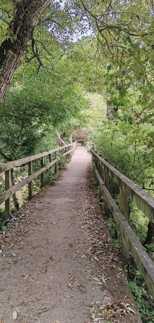 Étang et Parc Saint-Nicolas à Angers - Marie Odile - 8