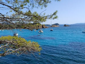 Entre terre et mer, du côté de Bregancon - Bormes-les-Mimosas - 11