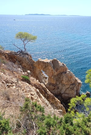 Entre terre et mer, du côté de Bregancon - Bormes-les-Mimosas - 12
