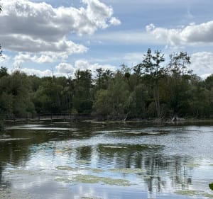 Balade en forêt et au fil de l’eau au parc du Pâtis - Meaux - 5