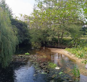 Dans la campagne de Pluherlin - Pluherlin - 4