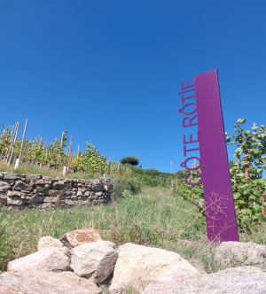 Ampuis, Tartaras, Tupin Semons - david - 8