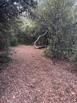 Sentier du museau de la colline - Chrystèle - 2