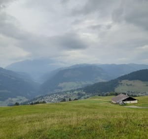 Promenade dans les alpages de Lachat - NADINE - 3