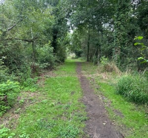 Promenade le long du ruisseau Nasseys - celine - 3