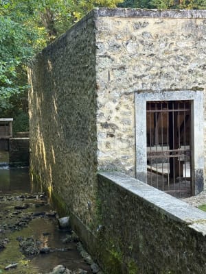 Dampierre-en-Yvelines et incroyable voyage dans le temps - Dampierre-en-Yvelines - 4