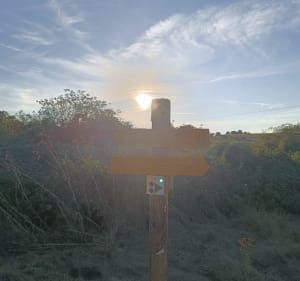 Promenade dans les champs autour du village de Valensole - Jonathan - 2