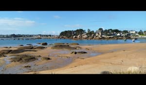 Trégastel et tour de l'île Renote - Gilles - 15