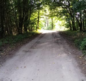 Pętla 7km - Hanulin - 5