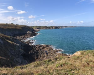 Cancale en de wilde bewoners van de Pointe du Grouin - Jean Jacques - 8
