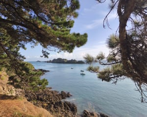 Cancale en de wilde bewoners van de Pointe du Grouin - Jean Jacques - 9