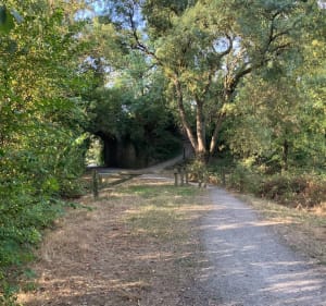Balade au belvédère de la Piverdière - Luc - 3