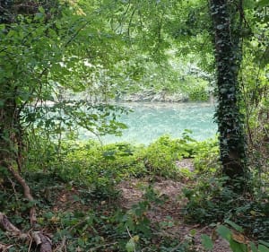 Entre champs, bois et canal autour de Mareuil - THIERRY - 2