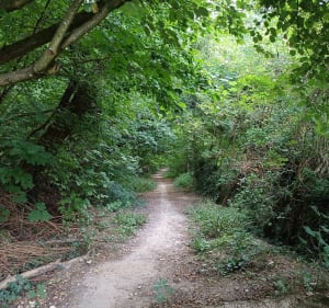 Entre champs, bois et canal autour de Mareuil - THIERRY - 3