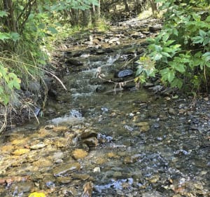 Boucle CGH et rivière autour des Ménuires - Virginie - 3