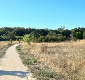 Balade sur le plan de La Garde - Rémi - 3