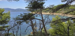 Réserve du Cap Lardier et splendeurs méditerranéennes - Christian Jacques - 5