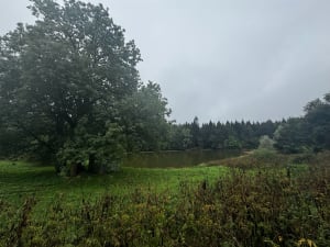 Wandeling rond het Parkhuis - Philippe - 8