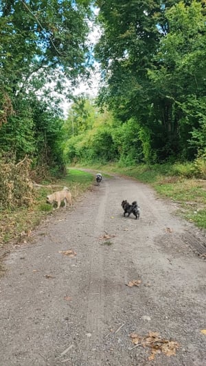 Montdidier en zijn wandeling langs de Trois Doms - Lou-ann - 3