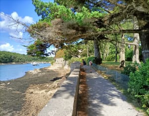 Sentiers côtiers de Port Anna et douces lumières du golfe - Ségolène - 8