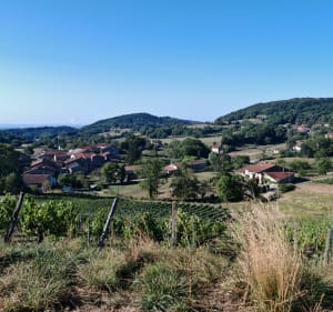 Rando VTT dans le Revermont - Mattéo - 5