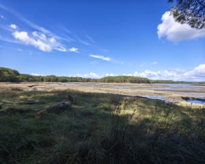 Circuits du Gouarde et de Saint-Ernan - ludovic - 7